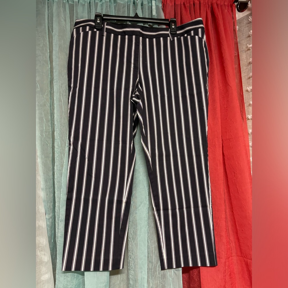 Worthington slim ankle size 14P